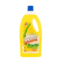 b8